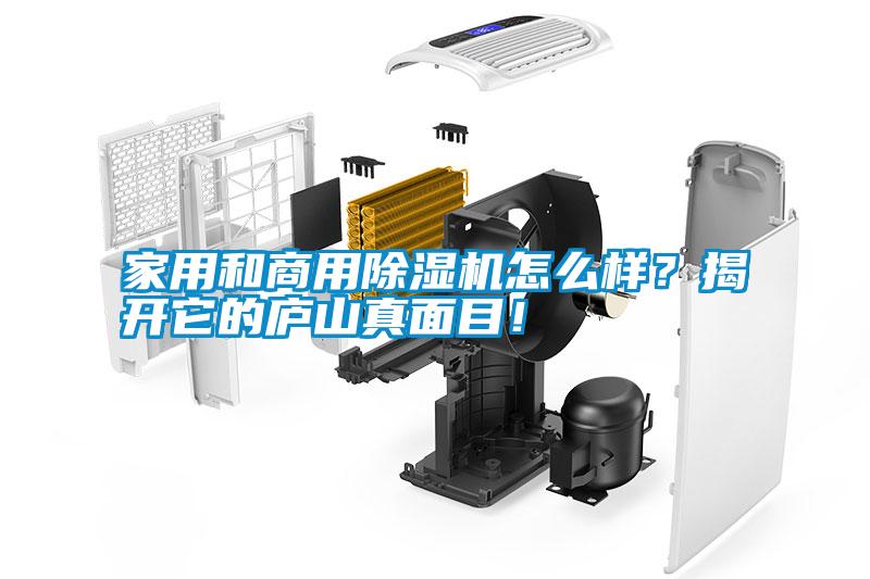 家用和商用除濕機(jī)怎么樣？揭開它的廬山真面目！