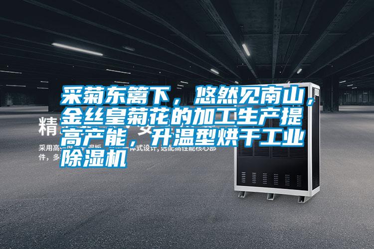采菊東籬下，悠然見南山，金絲皇菊花的加工生產(chǎn)提高產(chǎn)能，升溫型烘干工業(yè)除濕機