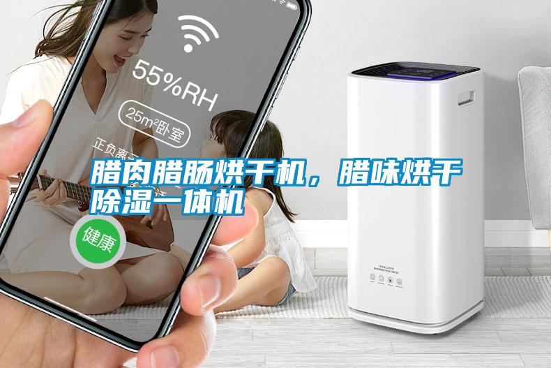 臘肉臘腸烘干機，臘味烘干除濕一體機