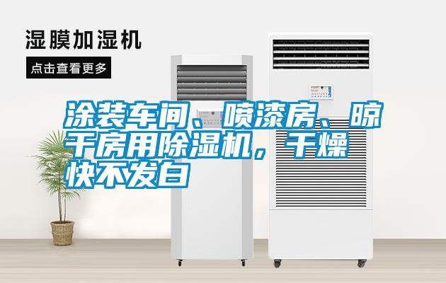 涂裝車間、噴漆房、晾干房用除濕機，干燥快不發(fā)白