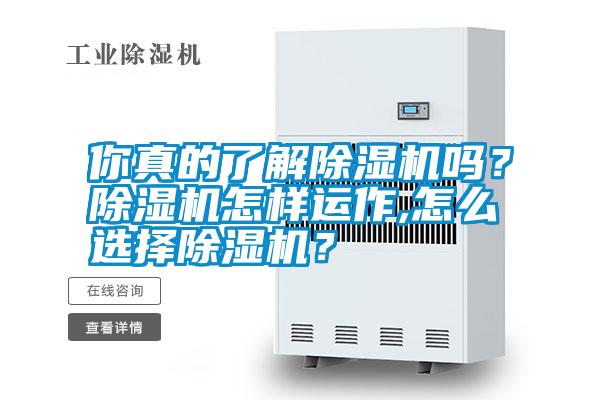 你真的了解除濕機(jī)嗎？除濕機(jī)怎樣運(yùn)作,怎么選擇除濕機(jī)？
