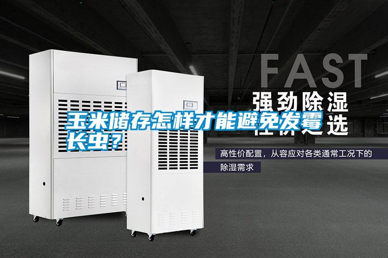 玉米儲存怎樣才能避免發(fā)霉長蟲？