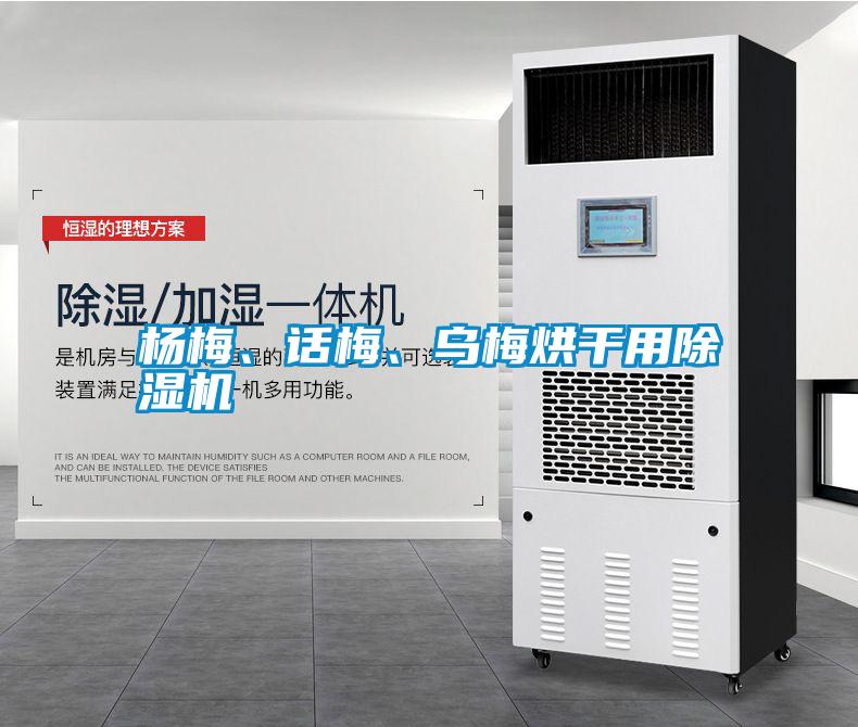 楊梅、話梅、烏梅烘干用除濕機