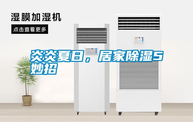 炎炎夏日，居家除濕5妙招