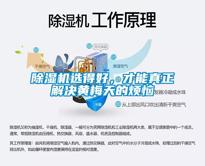 除濕機(jī)選得好，才能真正解決黃梅天的煩惱