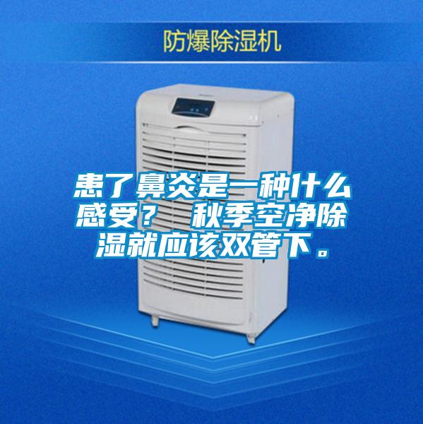 患了鼻炎是一種什么感受？ 秋季空凈除濕就應該雙管下。