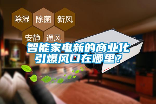 智能家電新的商業(yè)化引爆風口在哪里？