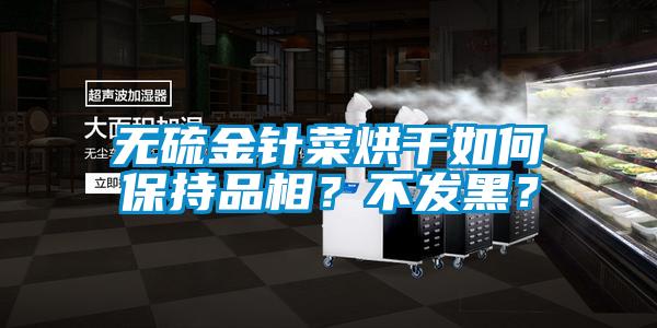 無硫金針菜烘干如何保持品相？不發(fā)黑？