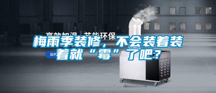 梅雨季裝修，不會裝著裝著就“霉”了吧？