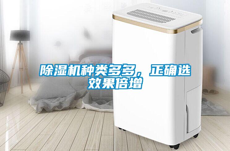 除濕機種類多多，正確選效果倍增