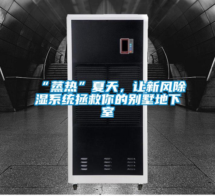“蒸熱”夏天，讓新風(fēng)除濕系統(tǒng)拯救你的別墅地下室