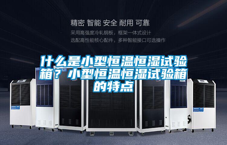 什么是小型恒溫恒濕試驗箱？小型恒溫恒濕試驗箱的特點