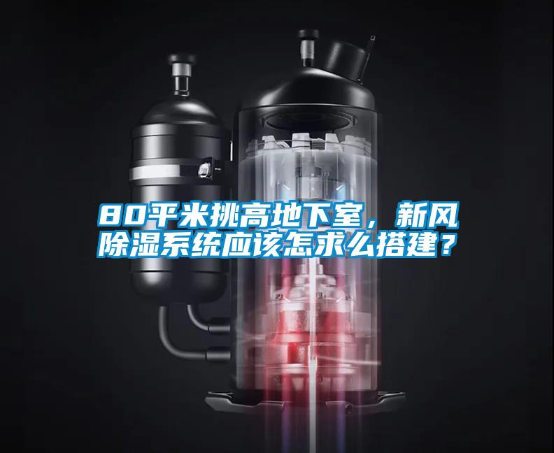 80平米挑高地下室，新風(fēng)除濕系統(tǒng)應(yīng)該怎求么搭建？