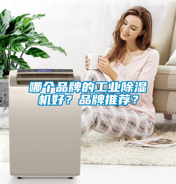 哪個(gè)品牌的工業(yè)除濕機(jī)好？品牌推薦？