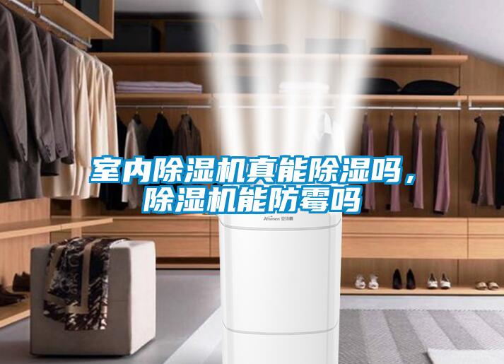 室內(nèi)除濕機真能除濕嗎，除濕機能防霉嗎