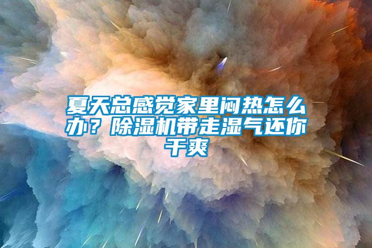 夏天總感覺(jué)家里悶熱怎么辦？除濕機(jī)帶走濕氣還你干爽