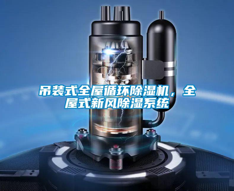 吊裝式全屋循環(huán)除濕機，全屋式新風除濕系統(tǒng)