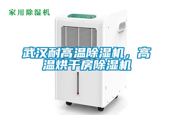 武漢耐高溫除濕機(jī)，高溫烘干房除濕機(jī)