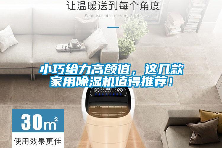小巧給力高顏值，這幾款家用除濕機值得推薦！