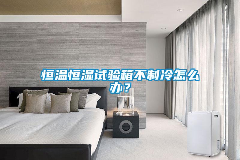恒溫恒濕試驗(yàn)箱不制冷怎么辦？