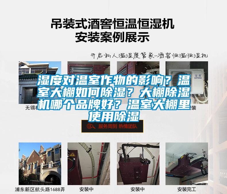濕度對溫室作物的影響？溫室大棚如何除濕？大棚除濕機哪個品牌好？溫室大棚里使用除濕