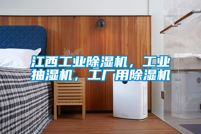 江西工業(yè)除濕機，工業(yè)抽濕機，工廠用除濕機