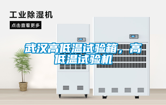 武漢高低溫試驗(yàn)箱，高低溫試驗(yàn)機(jī)