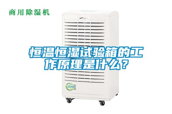 恒溫恒濕試驗箱的工作原理是什么？