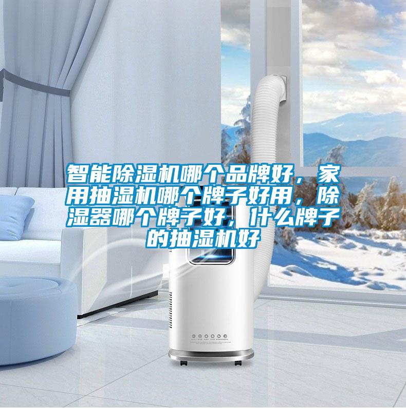 智能除濕機(jī)哪個(gè)品牌好，家用抽濕機(jī)哪個(gè)牌子好用，除濕器哪個(gè)牌子好，什么牌子的抽濕機(jī)好