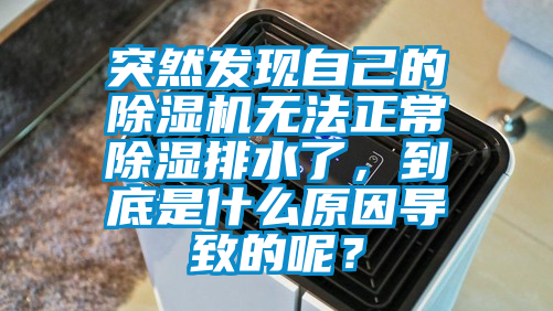 突然發(fā)現(xiàn)自己的除濕機(jī)無(wú)法正常除濕排水了，到底是什么原因?qū)е碌哪兀?/></p>
						    <p style=