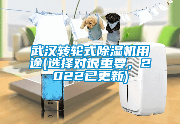 武漢轉(zhuǎn)輪式除濕機用途(選擇對很重要，2022已更新)