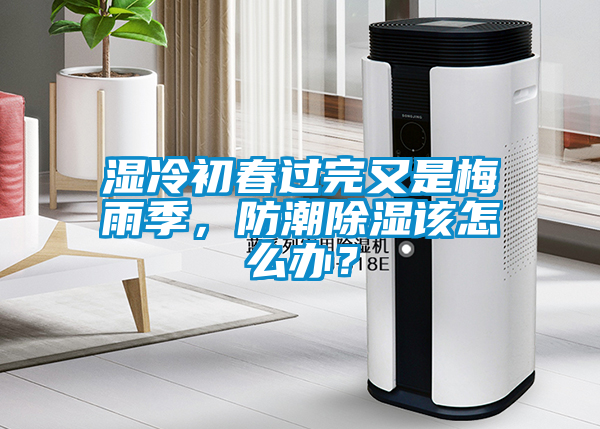 濕冷初春過完又是梅雨季，防潮除濕該怎么辦？