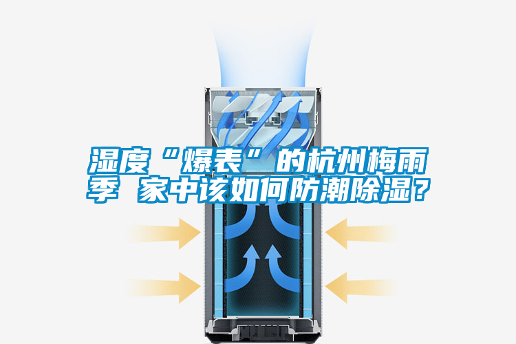 濕度“爆表”的杭州梅雨季 家中該如何防潮除濕？