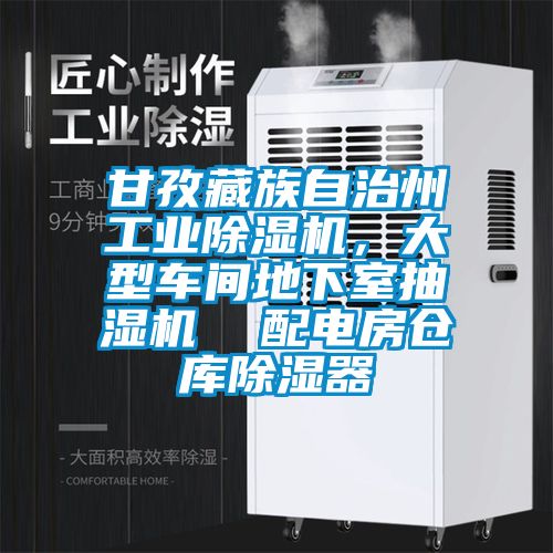 甘孜藏族自治州工業(yè)除濕機，大型車間地下室抽濕機  配電房倉庫除濕器