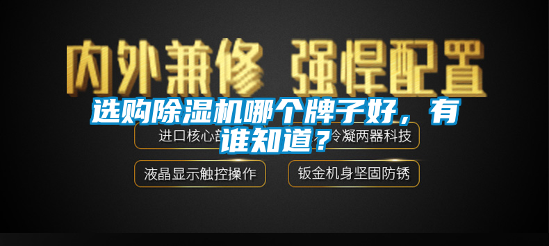 選購(gòu)除濕機(jī)哪個(gè)牌子好，有誰(shuí)知道？