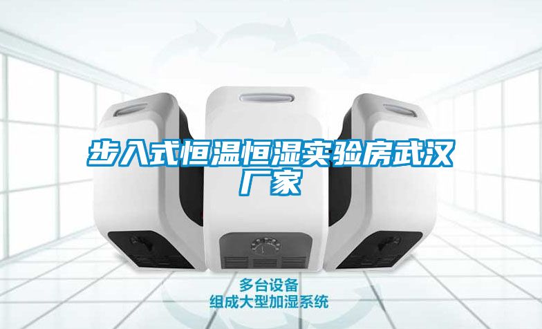 步入式恒溫恒濕實(shí)驗(yàn)房武漢廠(chǎng)家