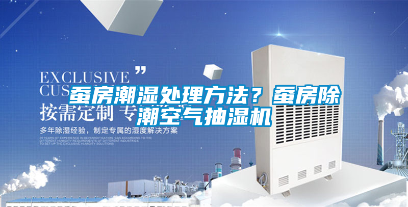 蠶房潮濕處理方法？蠶房除潮空氣抽濕機(jī)