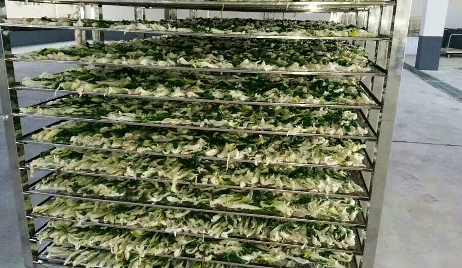 菜干需求一直都很大，蔬菜烘干機(jī)很有市場(chǎng)